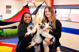 bounce-therapy-animal-assisted-therapy-02.jpg